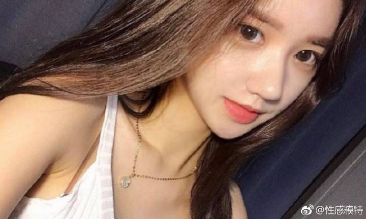 云南普洱亚洲象组团觅食 多部门加强监测